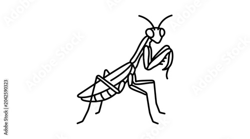 Bild auf Leinwand Profile view praying mantis insect line drawing.