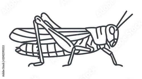 Robust grasshopper insect side view