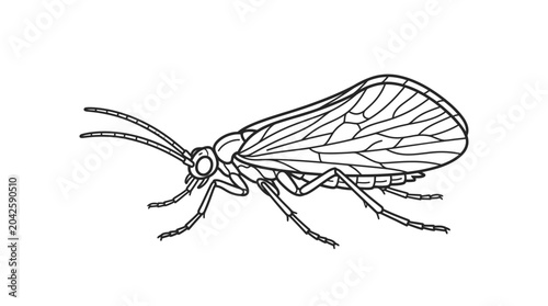 Winged insect profile outline vector