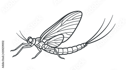 Minimalist line art mayfly with long tail filaments.