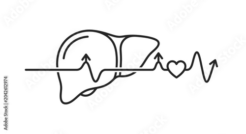 Human liver health icon with heartbeat pulse line.