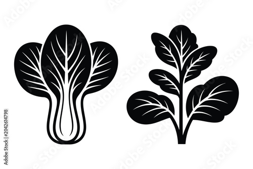 Принти на полотні Bok choy and leafy green vegetable silhouette vector illustration with vegetable