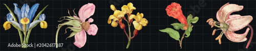 Bild auf Leinwand Vector illustration of various colorful flowers on a dark grid background