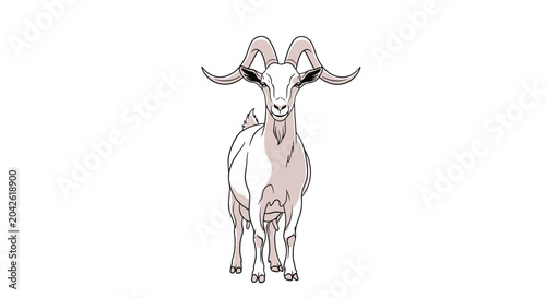 Fotografía Goat standing alone looking forward calmly.