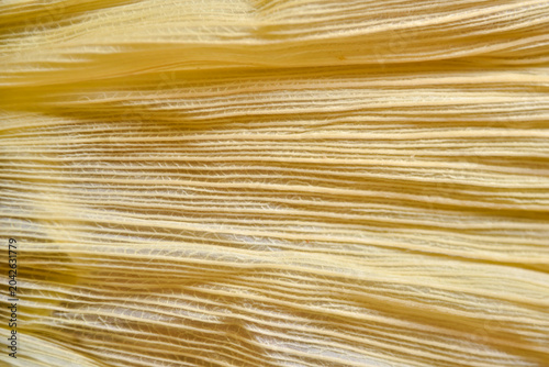 Natural texture of a dry corn husk in close-up. The texture appears fibrous and rough, with subtle variations in color intensity.