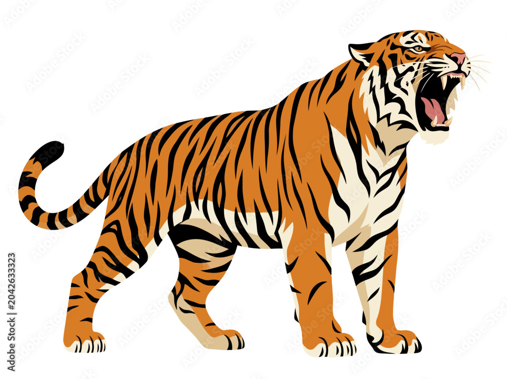 Obraz premium A powerful tiger roaring with mouth wide open against a plain white background.