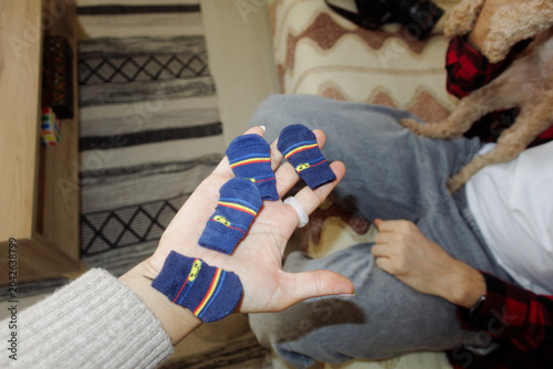 woman showing dog socks