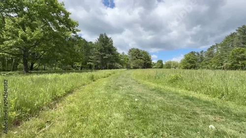 Mowed Path Through Green Field