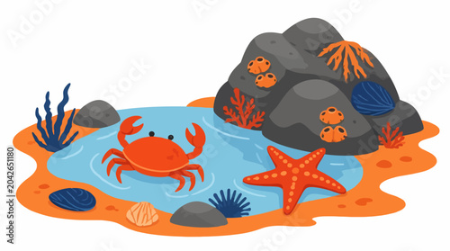 Cartoon crab and starfish in shallow tide pool with rocks and seaweed, flat vector illustration