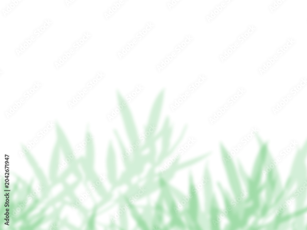 Fototapeta premium Realistic Grass Blades with Narrow Foliage Shadow Overlay Effect on White Wall, Aesthetic Summer Sunlight Botanical Shadow, Abstract Natural Plant Shadow Overlay