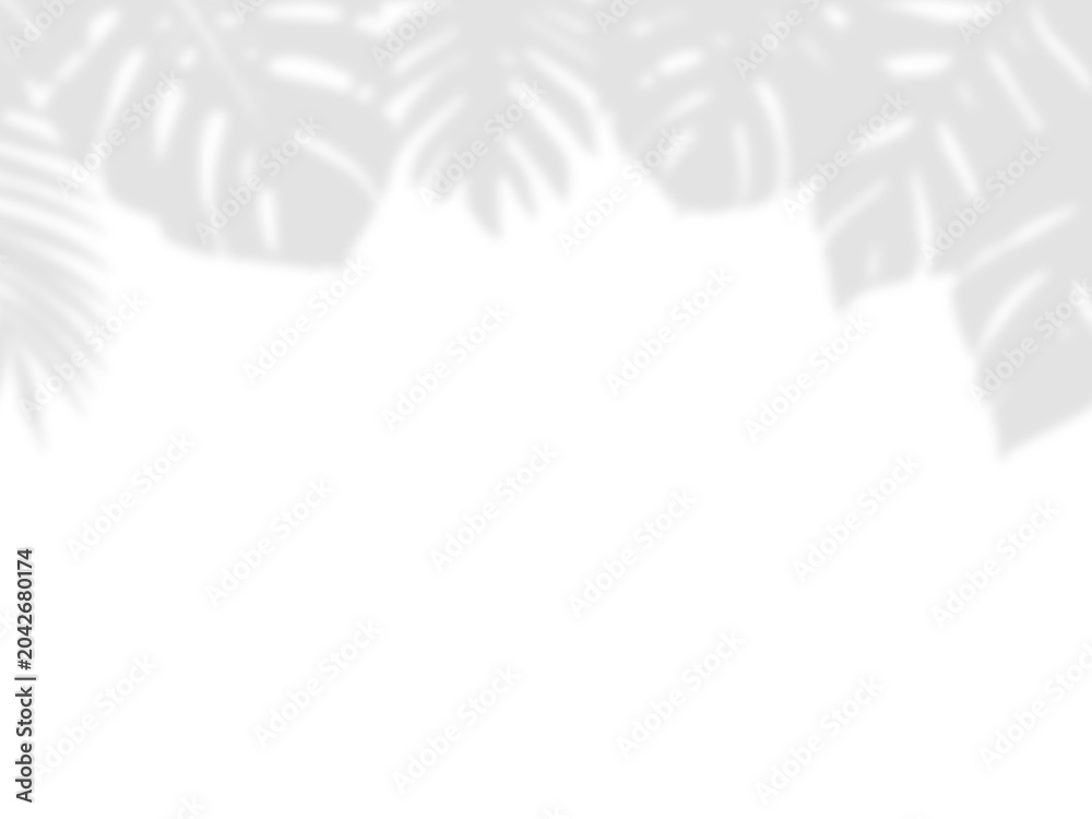 Obraz premium Realistic Tropical Palm Leaves and Monstera Foliage Border Shadow Overlay Effect on White Wall, Aesthetic Summer Sunlight Botanical Shadow, Abstract Natural Plant Shadow Overlay
