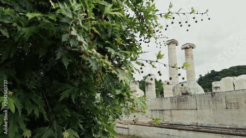 Ancient Ionic Columns Of The Temple Of Artemis In Sardis Salihli