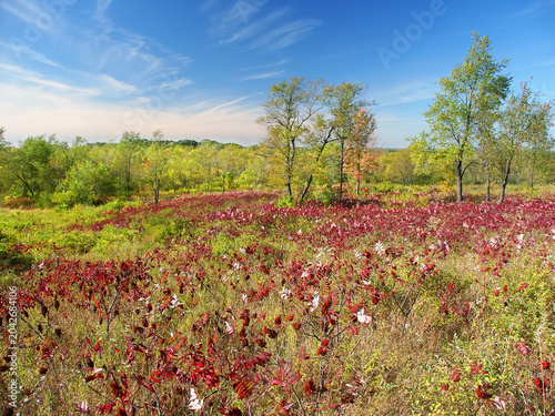Beautiful hillside of the Kettle Moraine State Forest in Wisconsin