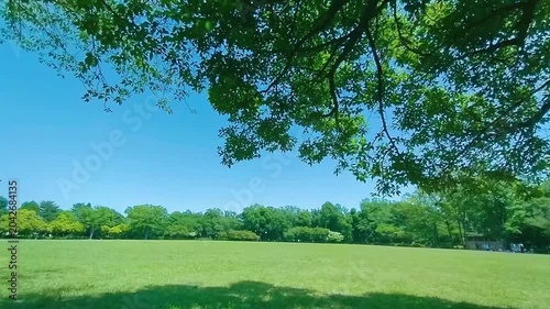 緑の公園