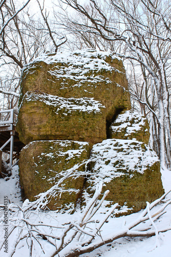 Lone Rock at Rock Cut State Park in a snow covered forest