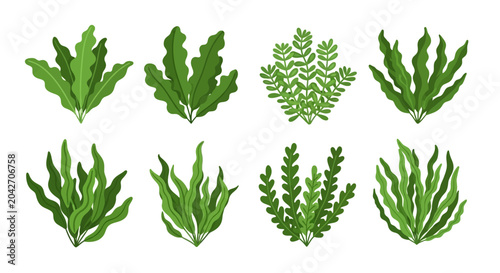 Bild auf Leinwand Collection of vibrant green aquatic and terrestrial plant illustrations