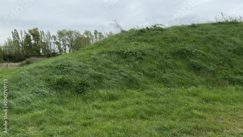 Wind blowing tall grass on green hillside under cloudy sky