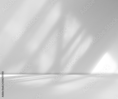 Grey wall shadow background kitchen floor white abstract studio concrete table white texture light texture mockup product marble room display plant cement minimal shelft bar leaves backdrop