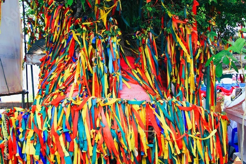 Sacred Bodhi Tree Trunk Wrapped in Colorful Fabric Ribbons at a Buddhist Temple, Koh Kret, Nonthaburi, Thailand