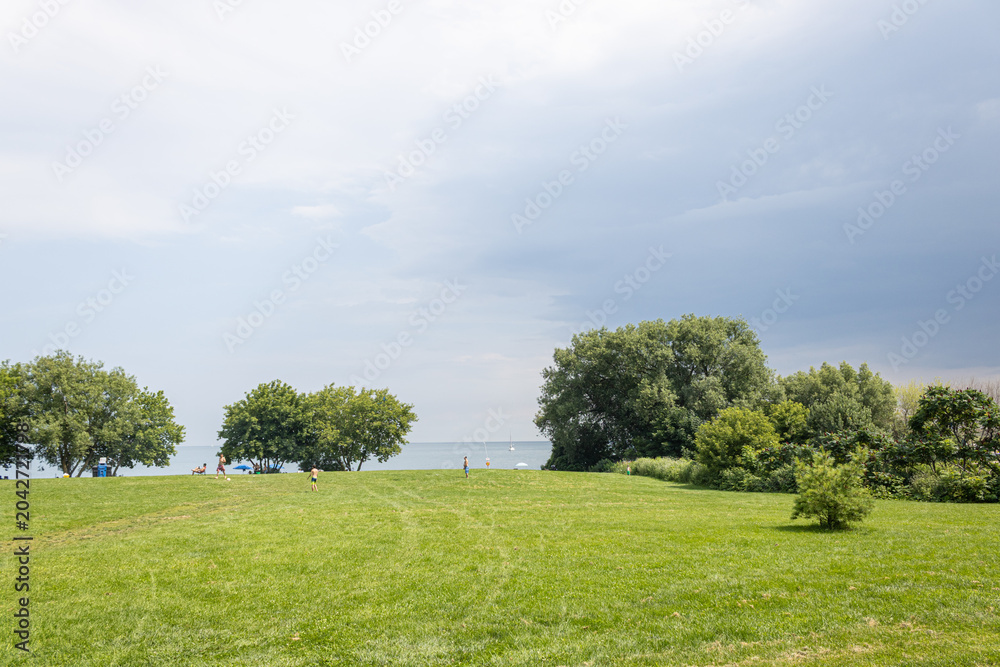 Naklejka premium View of the nature in Etobicoke