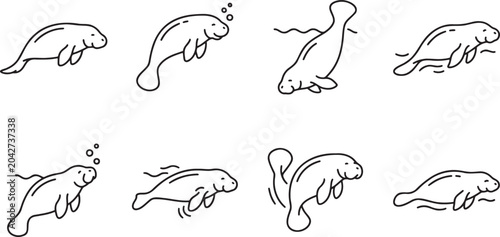 Photos Manatee and aquatic mammal set