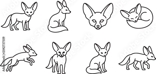 Foto Fennec fox poses and movement icons