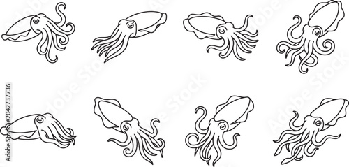 Photos Squid and cephalopod sea life icons