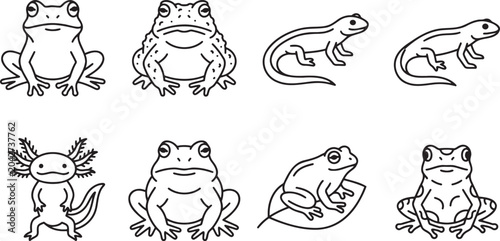 Obraz na płótnie Frog and amphibian species collection icons