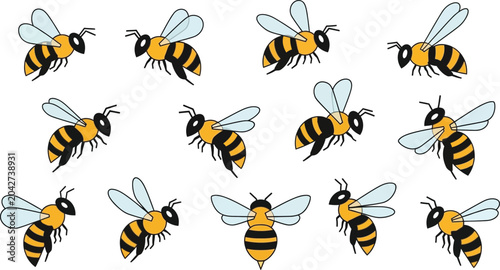 Photos Bees, a group of flying insects with yellow and black stripes, transparent wings
