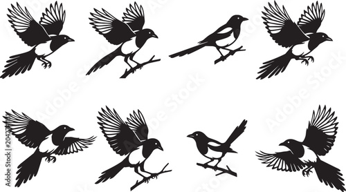 Bild auf Leinwand Magpie Bird Silhouettes Collection in Flight and Perched Poses Black Vector Art
