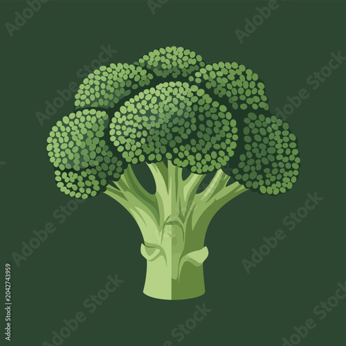 Fresh Broccoli Florets Isolated on Dark Green Background