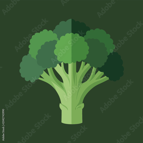 Fresh Broccoli Head, Healthy Organic Vegetable, Flat Design