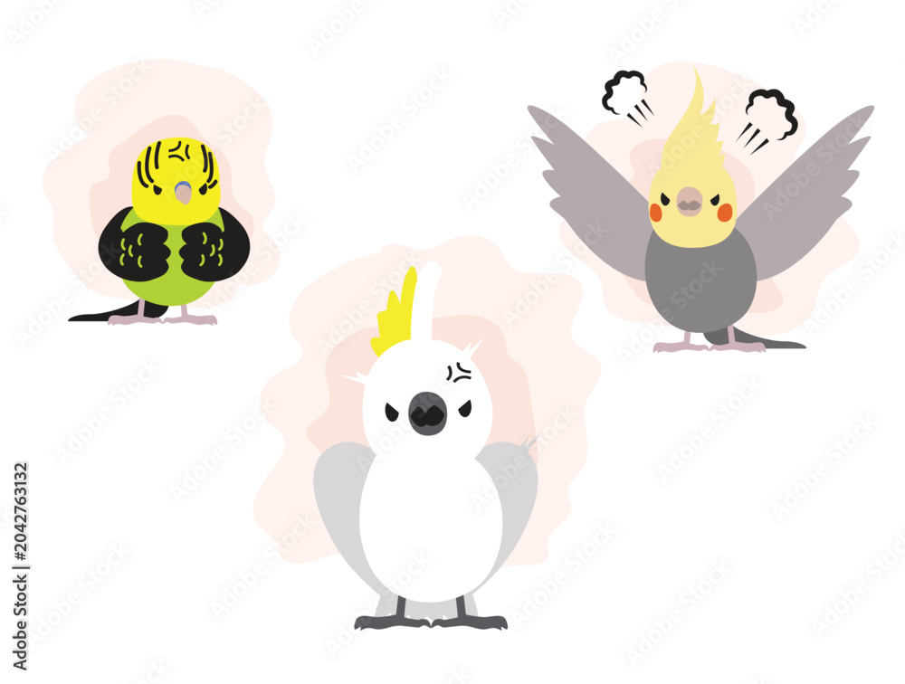 Fototapeta premium Bird Cockatiel Budgie Cockatoo Parrot Chibi Cartoon Angry Pose