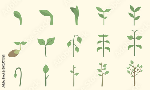 sprout seedling bundle set