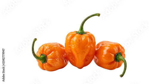 Fresh Orange Habanero Peppers Isolated on Transparent Background