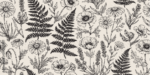Detailed black ink botanical illustration of meadow wildflowers and ferns on a light cream background, vintage style.