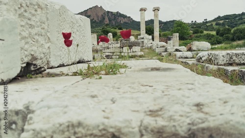 Ancient Ionic Columns Of The Temple Of Artemis In Sardis Salihli
