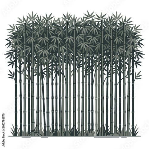 Dense bamboo forest landscape with tall stalks and leaves.