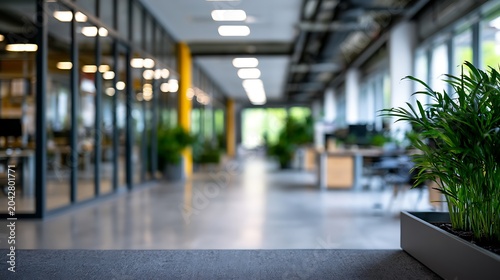 Awesome photo of modern open plan office interior with green plants and glass partitions.