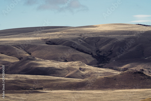 Steppe landscape nearly free of trees and little vegetation