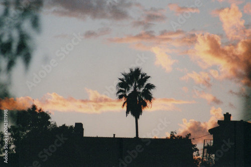 Shot on Film: Classic Los Angeles Sunset