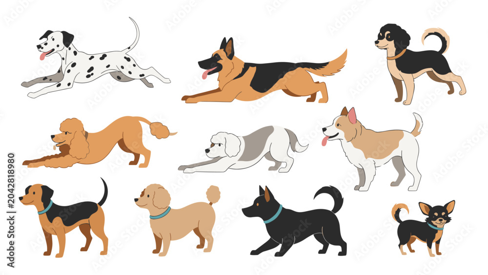Fototapeta premium Diverse group of dog breeds shows various canines in different active poses like running, stretching, and standing for pet lovers.