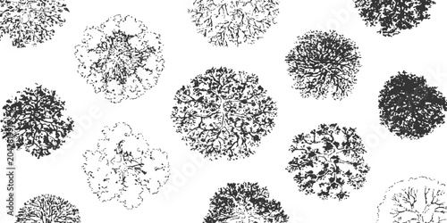 Bild auf Leinwand Top view tree sketch architectural landscape plan elements black and white silhouette vector illustration graphic design