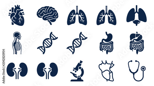Collection of diverse human body part icons, including organs and anatomical structures, presented in a clean, modern design