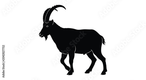Canvas Print Ibex silhouette black animal profile on a white background