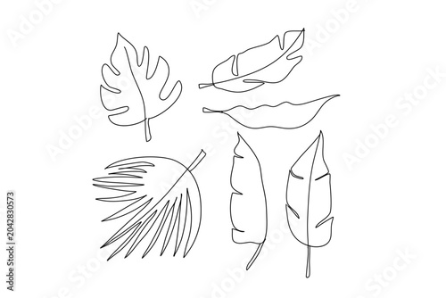 hand drawn vector illustration of a leaf