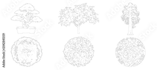 Detailed Landscape Line Art Tree showing Plan Blueprint for Branch Monochrome and Leaves Bush Vegetation