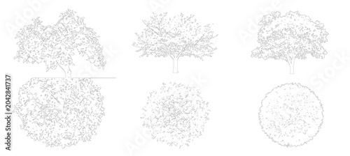 Canvastavla Detailed Vector Landscape Blueprint showing Plan Elevation for Design Isolated a