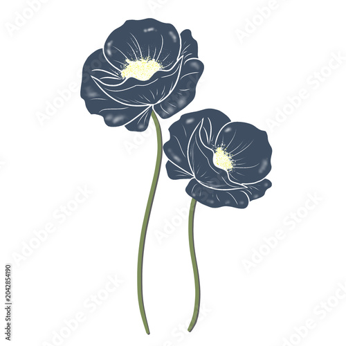 Elegant Dark Blue Floral Elements Isolated on Black Background