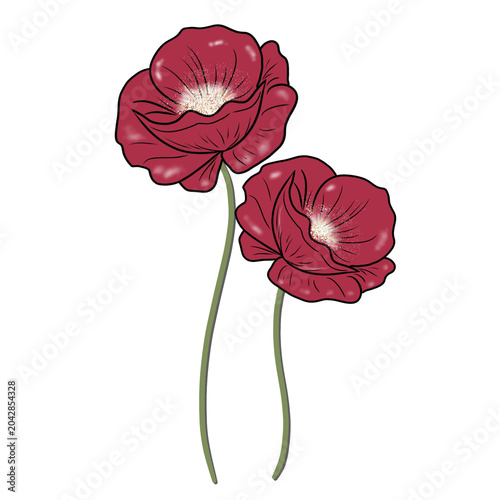 red poppy flower